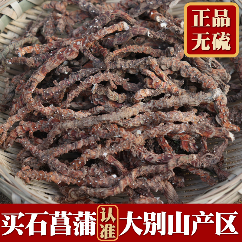 石菖蒲中药材大别山九节菖蒲水草昌蒲粉正品附石菖蒲苗盆景种子