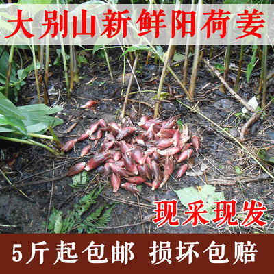 淘宝搜索结果页 35打折网