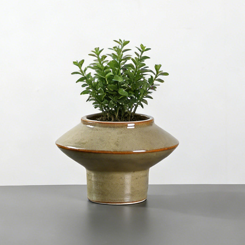 复古侘寂风飞碟形花盆仿真豆瓣绿绿植盆栽桌面禅意复古摆件