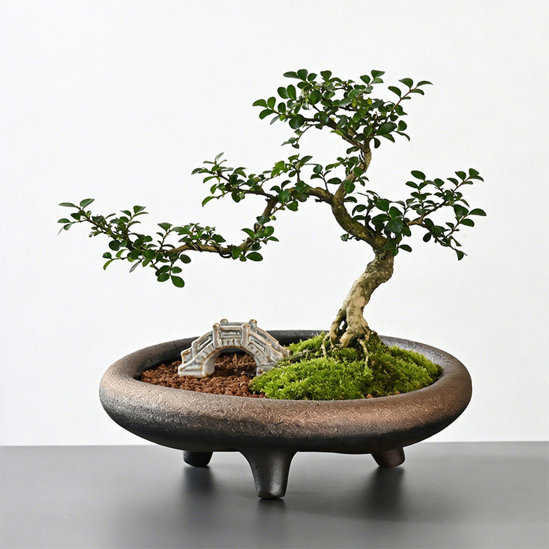 无孔水养绿萝盆复古渐变花盆三足台造型多肉植物水培铜钱草专用盆