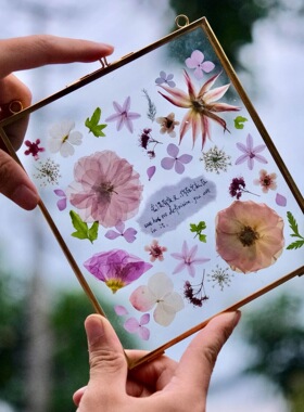 情书系列创意压花相框干花植物标本透明亚克力装饰画摆件生日礼物