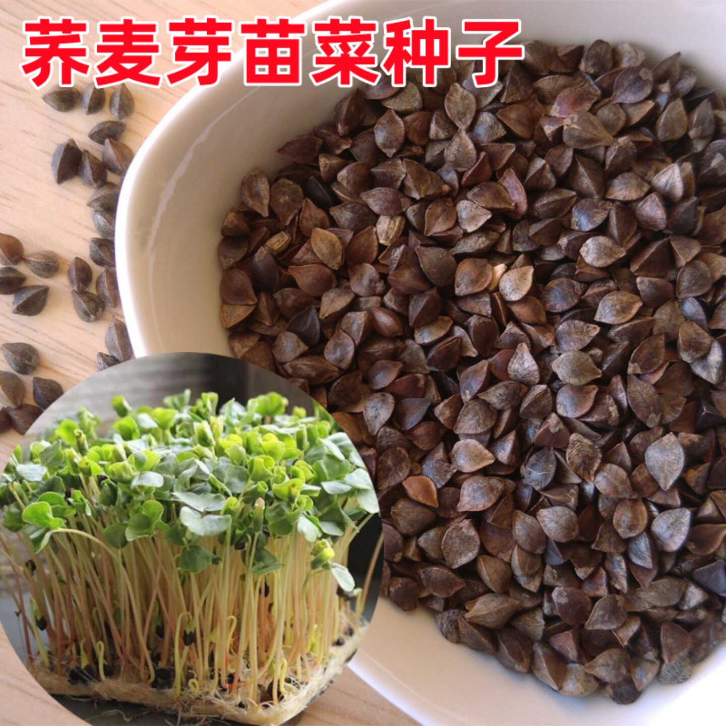 免邮苦荞麦种子甜荞麦种子阳台种植芽苗菜种子水培芽苗菜苦荞籽