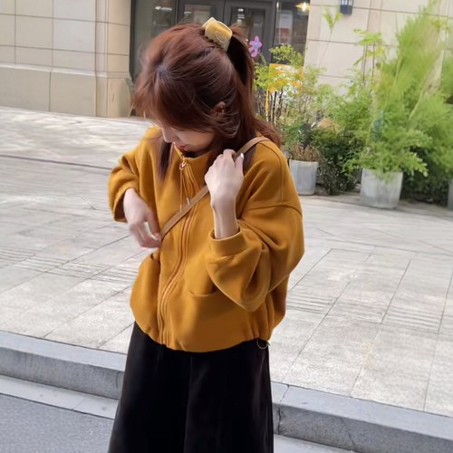 爆款立领设计感卫衣短外套