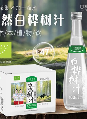 白桦依然100%天然白桦树汁