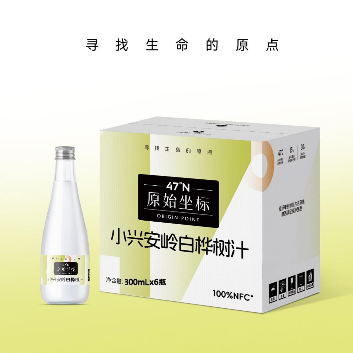 原始坐标小兴安岭天然白桦树汁