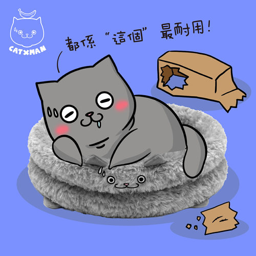 CATXMAN毛绒动物窝猫星侠