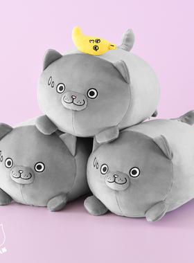 CATXMAN 周柏豪 PLUSH DOLL IN CYLINDER WAY 猫星侠造型毛绒公仔