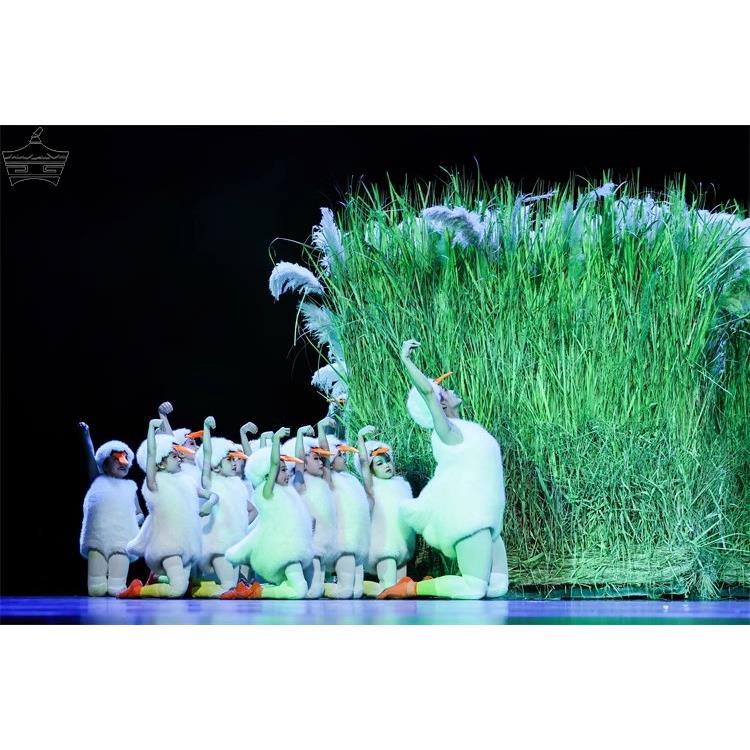 小荷风采这是我家舞蹈儿童演出服小鸭子鹅鹅鹅表演大白鹅动物服装