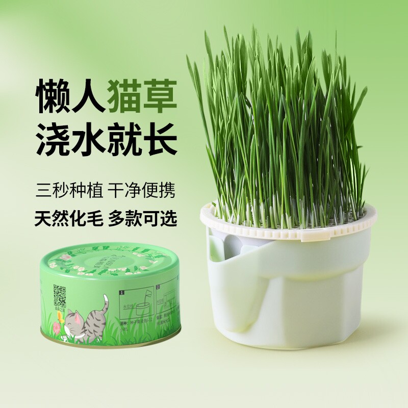 懒人猫草杯浇水就长猫咪天然化毛