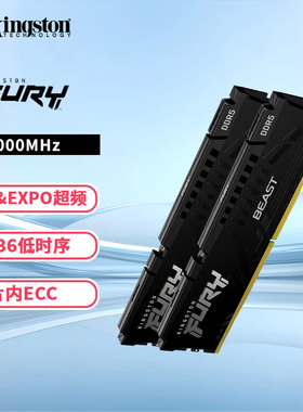 金士顿全新正品 16GB  6000 c36 / c30  金士顿 16g 5200 / 5600