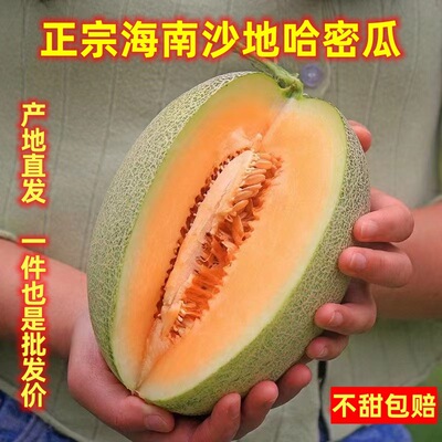 海南哈密瓜3/5/9斤新鲜佛罗水果