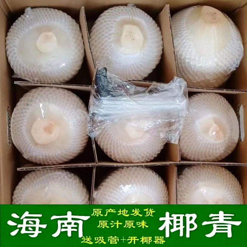 海南新鲜椰子椰青大果