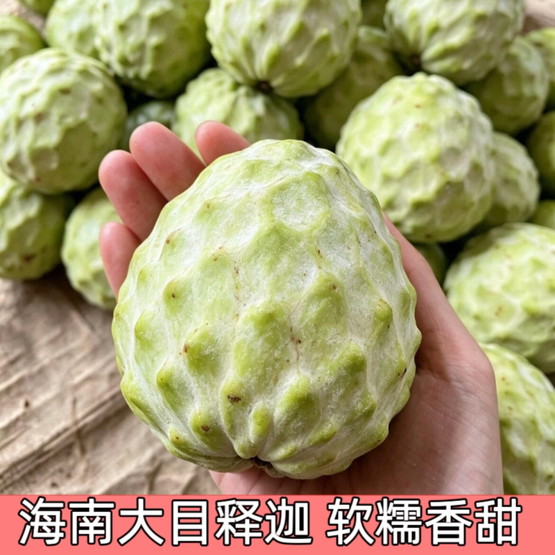海南大目释迦5斤礼盒装 番荔枝 软糯香甜冰淇淋口感 顺丰空运