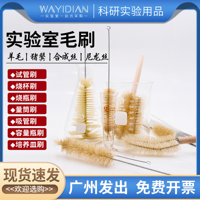 试管刷三角瓶刷烧杯刷量筒刷刷子