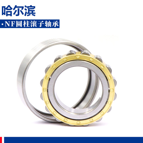 哈尔滨圆柱滚子轴承NF2228 2230EM