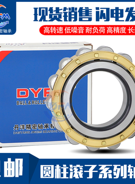 天马丹洋减速机轴承 RN205 RN206 RN307 RN308 RN309 RN312 222 M