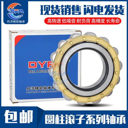 减速机轴承RN205丹洋RN206