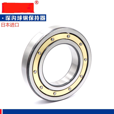 日本进口铜保轴承6184861852