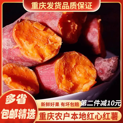 现挖现发货新鲜带泥香糯甜