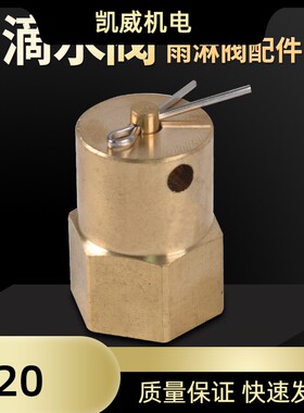 滴水阀DN15泄水阀 放水阀 雨淋阀配件ZSFM