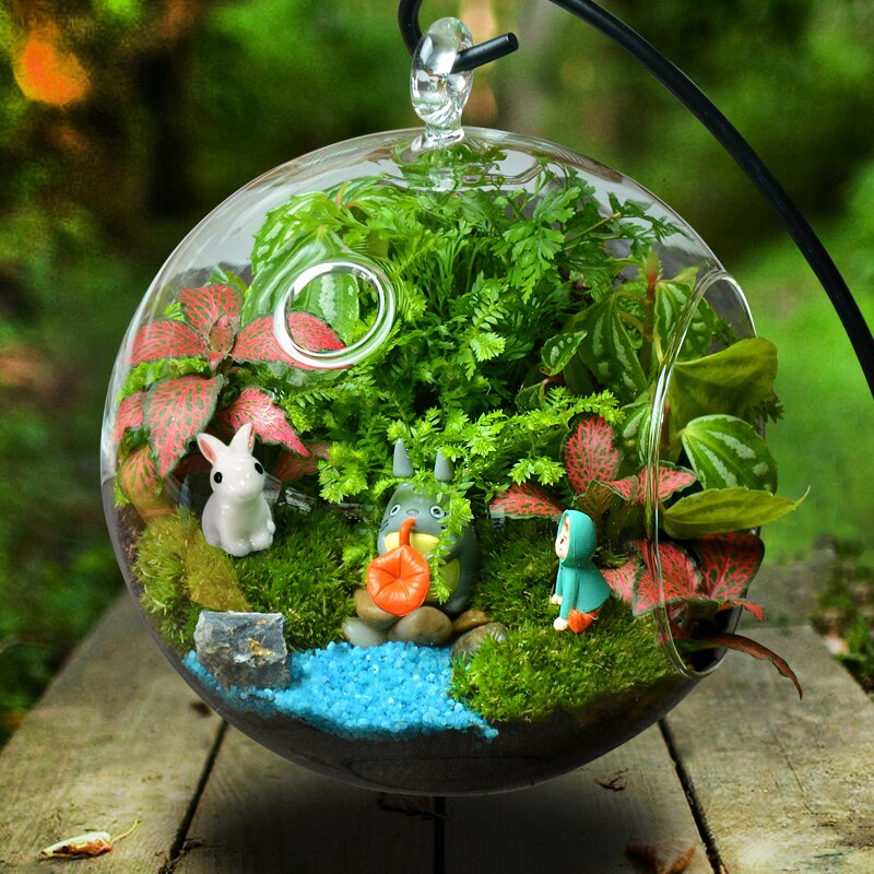 Mini originality Potted plant diy Material Science Moss Scenery Botany lovely indoor Green plant ecology Decorationin the Flower delivery/Flowers simulation/Plants gardening , Creative mini-plant  category - from Buy2taobao.com to provide professional Taobao agent buy service