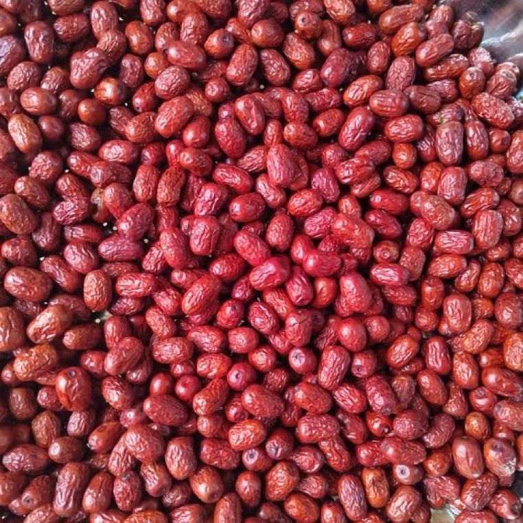 红枣新疆小灰枣零食生吃补气血煲汤煮粥包粽子小红枣金丝小枣