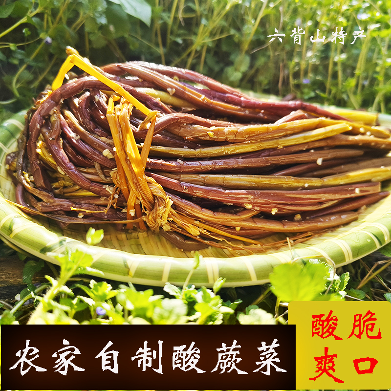 蕨菜新鲜野生现采现摘现发野菜贵州湖南特产高山农家菜干货酸蕨菜
