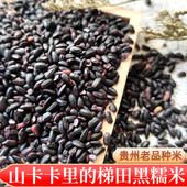 2025黑糯米贵州特产血糯米禾糯糙米五谷杂粮农家散装 新米糯米煮粥