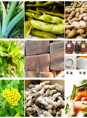 家乡魔芋鱼腥草木姜子