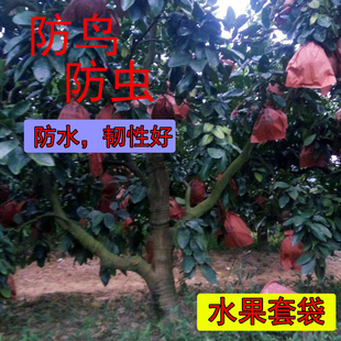 包邮沙田柚蜜柚套袋专用袋子防水防虫防鸟柚子袋纸袋红心水果套袋