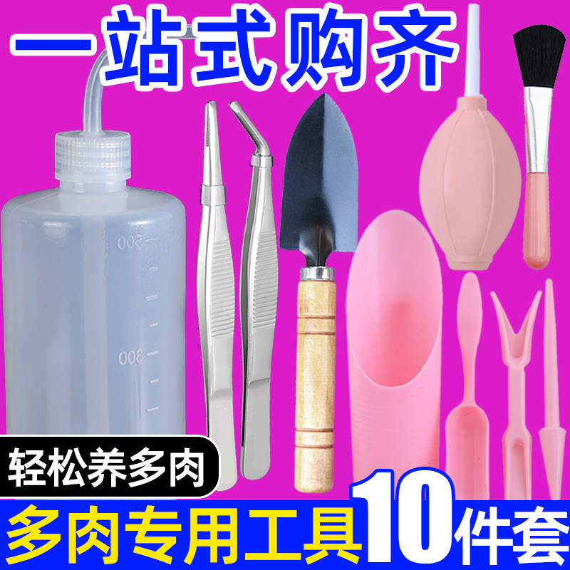 多肉专用工具套装不锈钢镊子园艺种植铲子一整套新手家用盆栽夹子