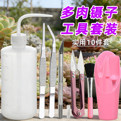 多肉工具不锈钢10件套新手园艺