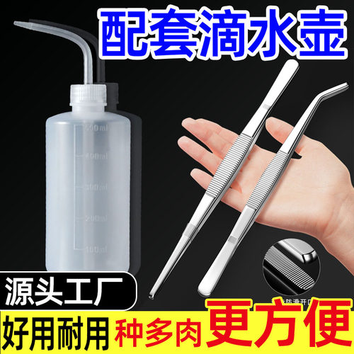 不锈钢镊子配套滴水壶