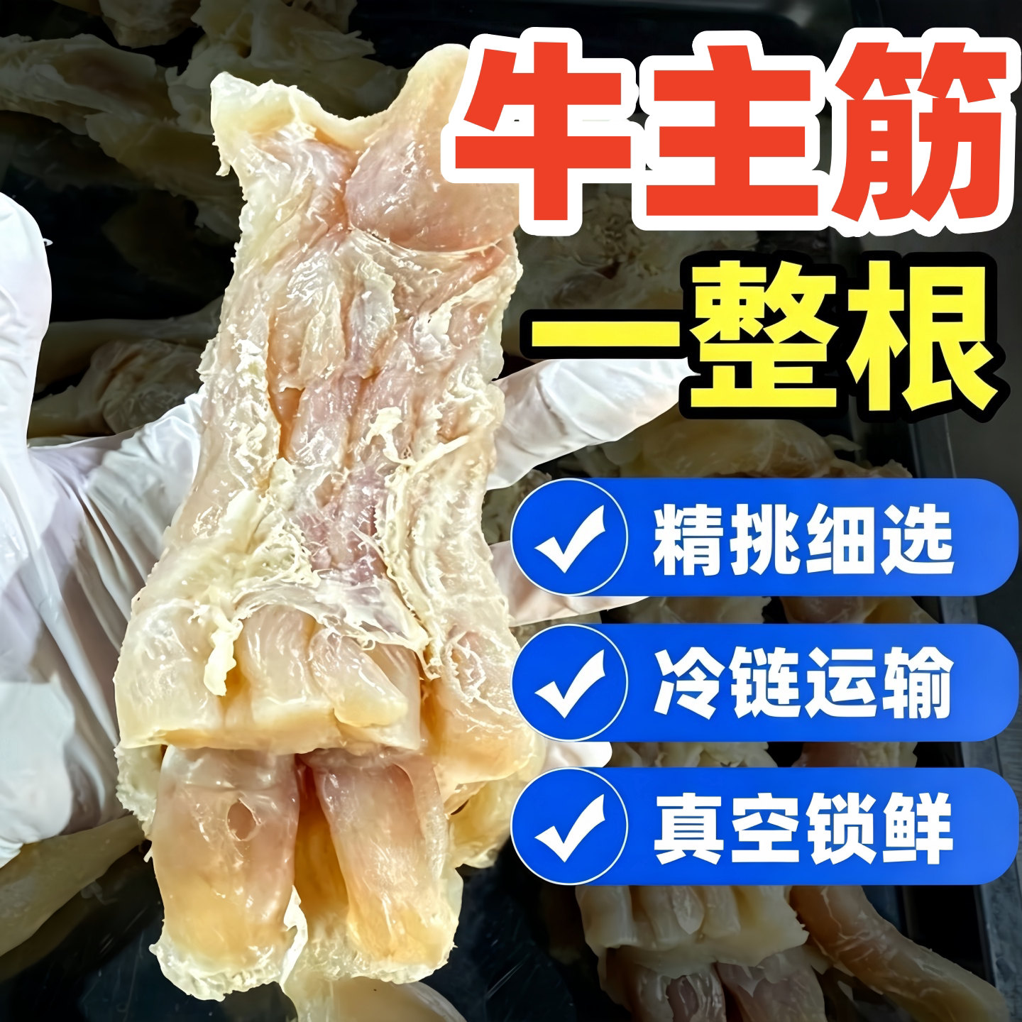 新鲜牛筋牛蹄筋商用半成品批发
