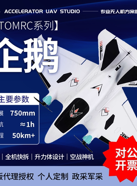 ATOMRC 企鹅Penguin 双发低空穿越fpv 固定翼便携式航模飞机