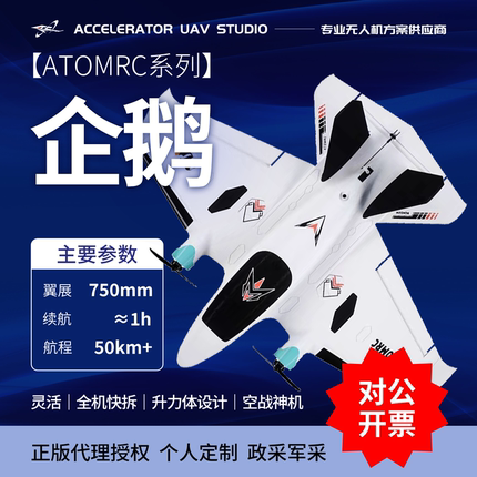ATOMRC 企鹅Penguin 双发低空穿越fpv 固定翼便携式航模飞机