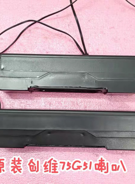 适用创维75G51电视喇叭5300-39WG51-L000/R000扬声器一对孔21.5cm