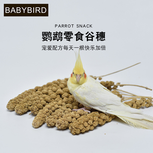 谷穗天然黄谷穗鹦鹉零食种带壳谷子小米穗鸟食仓鼠鹦鹉鸟粮250克