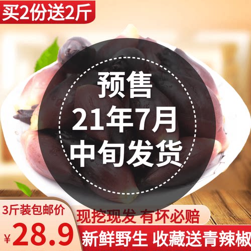 恩施阳荷茗荷姜阳藿山姜观音花野生姜莲花姜湖北恩施 小麦优选