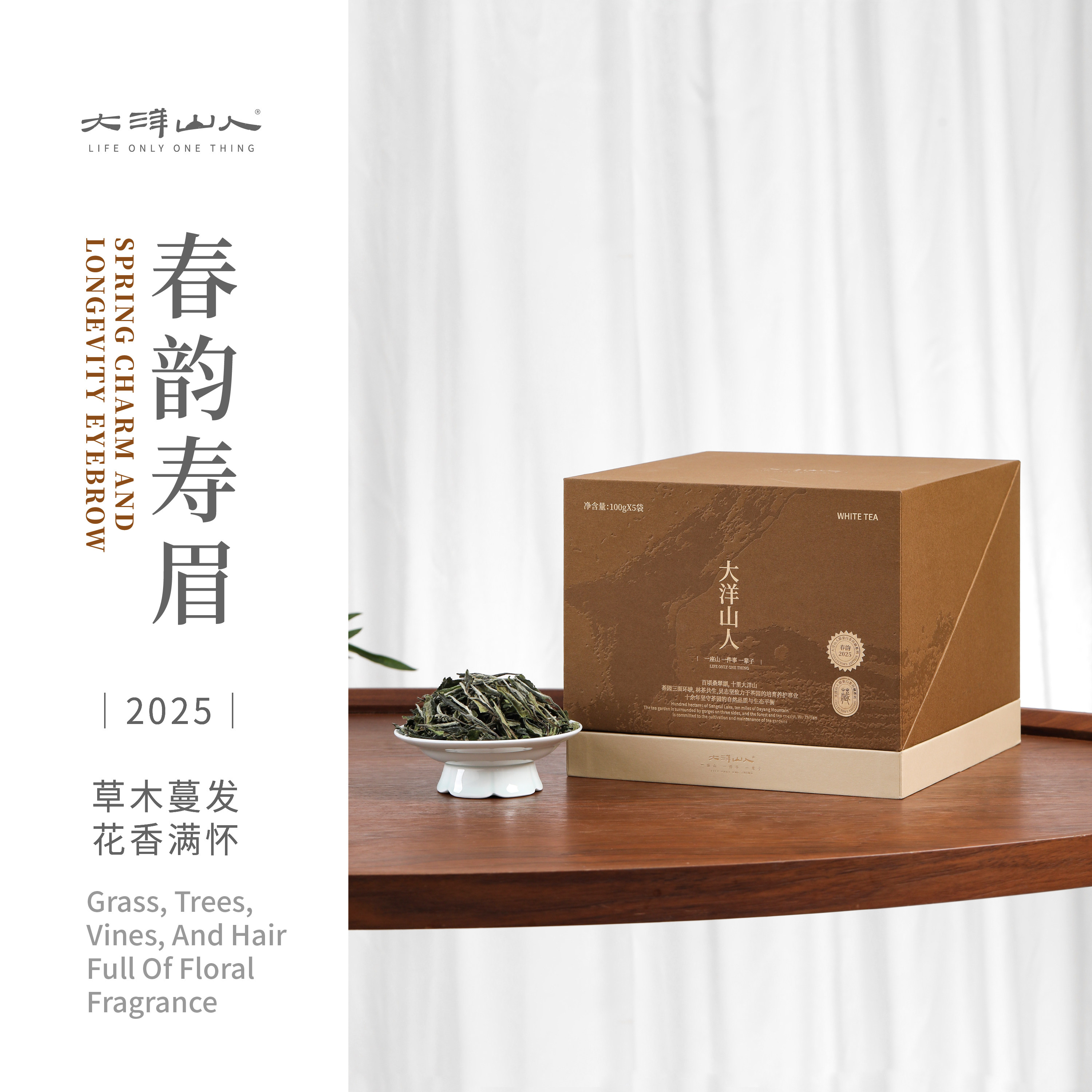 一叶九鼎福鼎白茶2025春韵寿眉