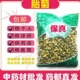 菊花茶正品 桐乡新货杭白菊花茶1000克安国市场批发 胎菊王散袋装