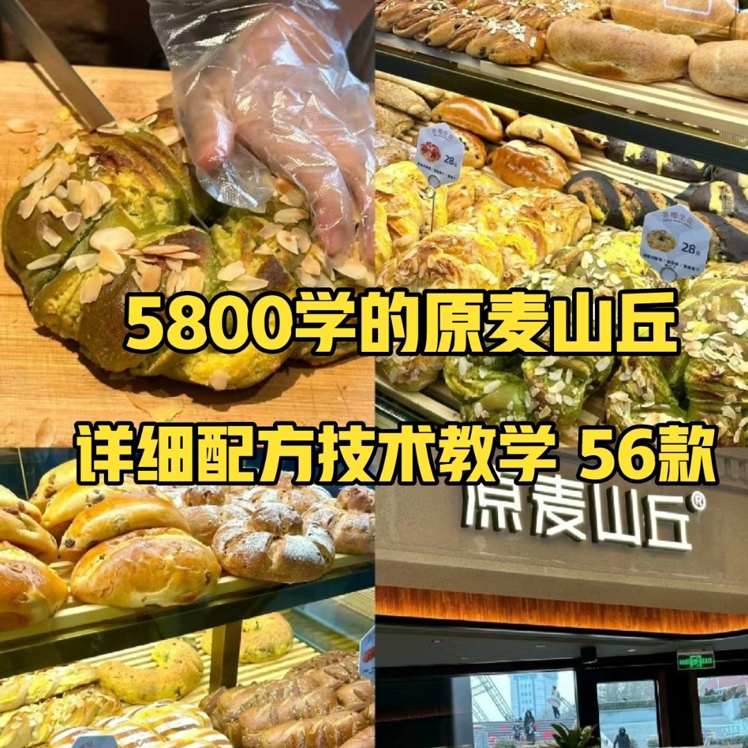 新56款原麦山丘技术教程软欧包配方烘焙面包全麦面团馅料制作方法