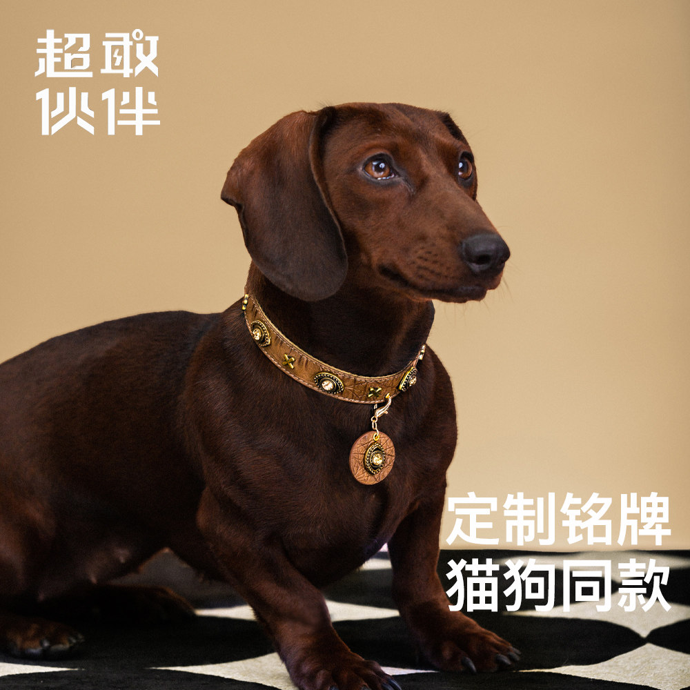 原创宠物项圈设计款猫狗通用