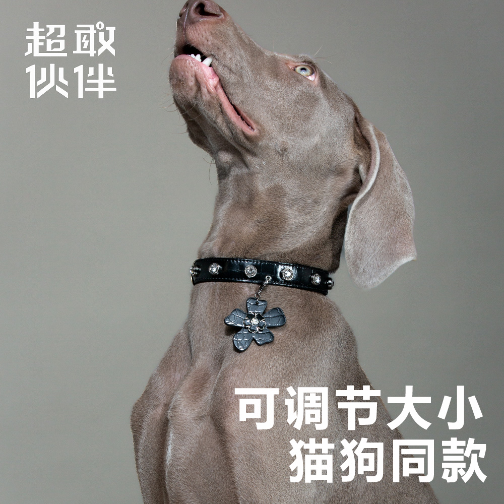 【超敢伙伴】狗狗项圈小众设计鳄鱼纹花朵挂饰中小幼型犬适用