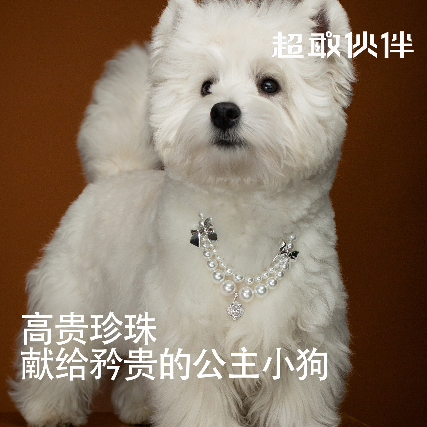 【超敢伙伴】双层珍珠宠物项链狗狗猫咪串珠吊坠蝴蝶比熊西高地