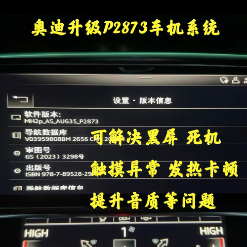 奥迪19-20款A6L/A7L/A8/Q3/Etron大众途锐等MH2P车型升级2873系统