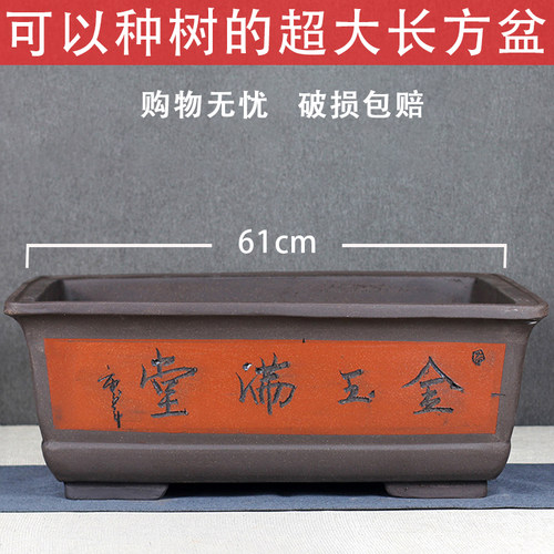 宜兴长方特大号绿植种菜紫砂花盆