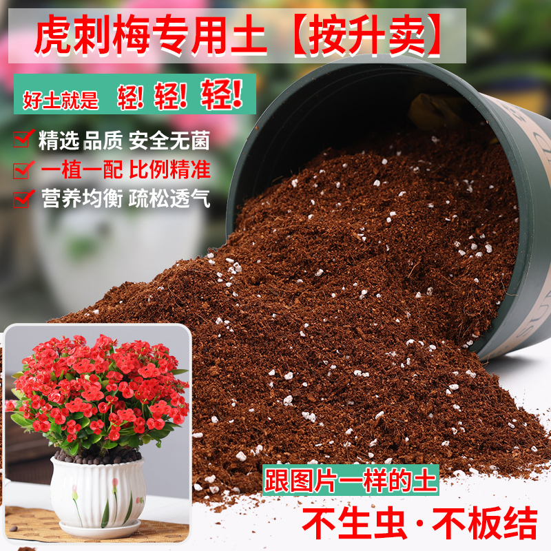 虎刺梅专用土营养土轻质疏松透气