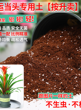 鸿运当头专用土凤梨专用营养土盆栽养花种花土通用花卉种植肥料土