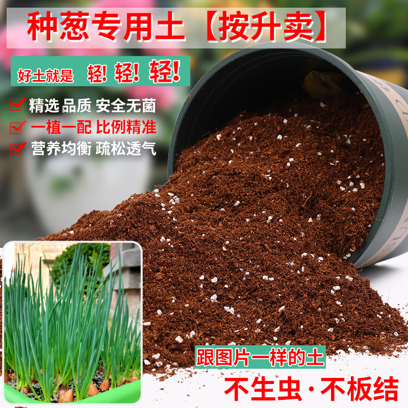 种葱专用土营养土轻质疏松透气